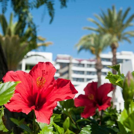 Optimist 1 Apartment Playa de las Americas  Exterior foto